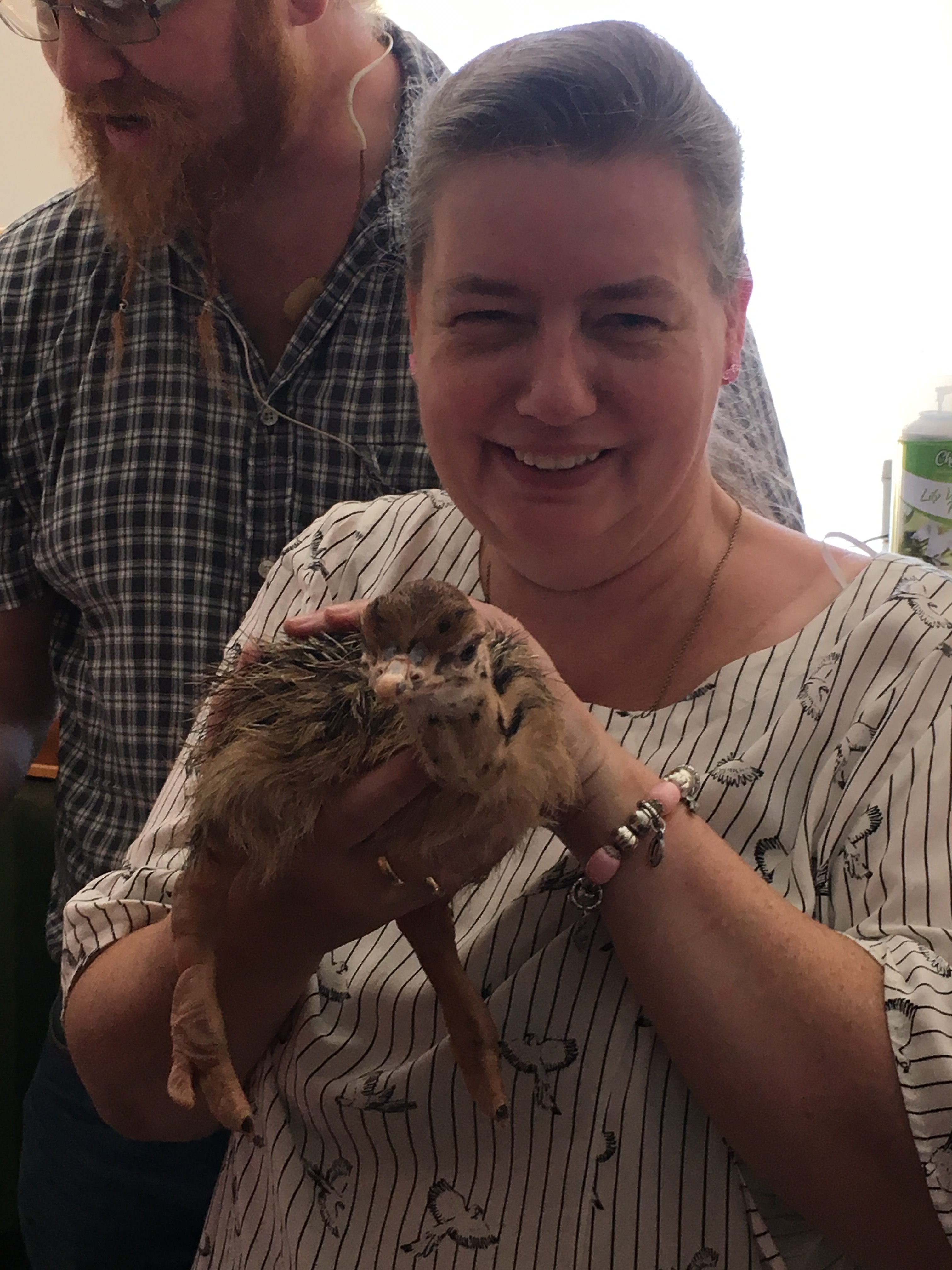 Ein Strau&szlig;enbaby