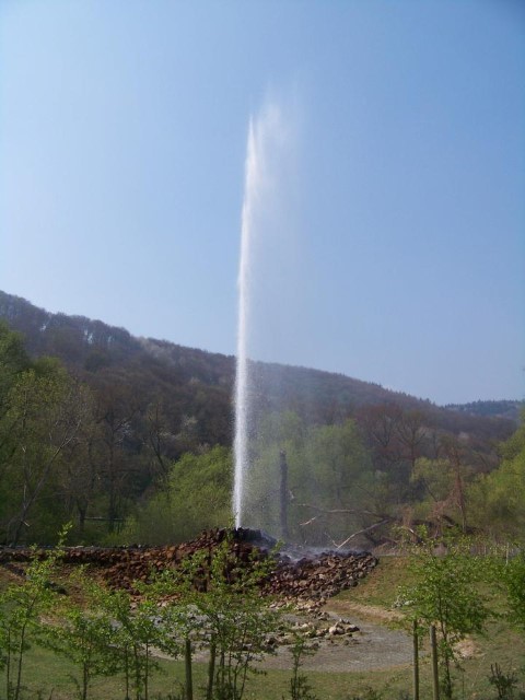 Der Geysir in Andernach